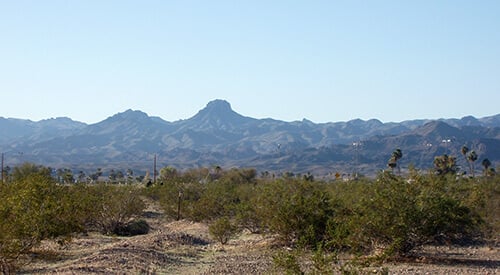 Cupcake Mountain Trail - Lake Havasu City