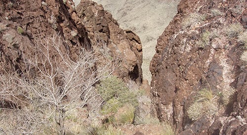 Cupcake Mountain Trail - Lake Havasu City