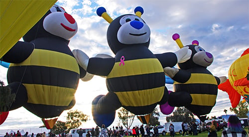 12th Annual Havasu Balloon Festival & Fair - Lake Havasu City