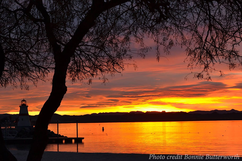 Fishing  Lake Havasu State Park