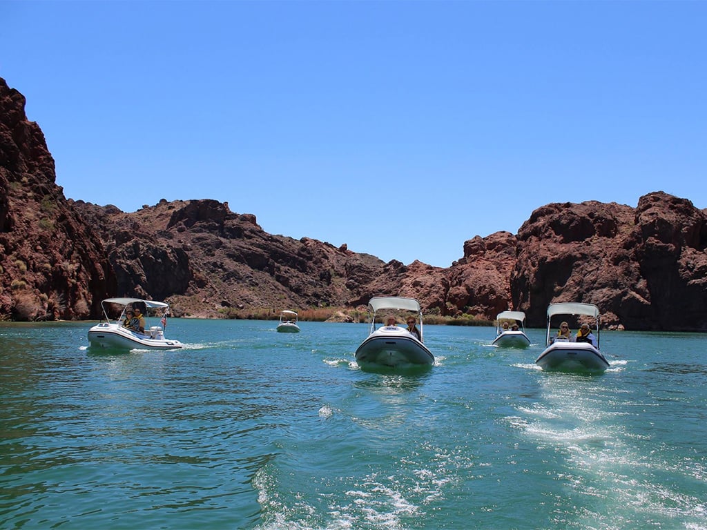 Rubba Duck Safari - Lake Havasu City